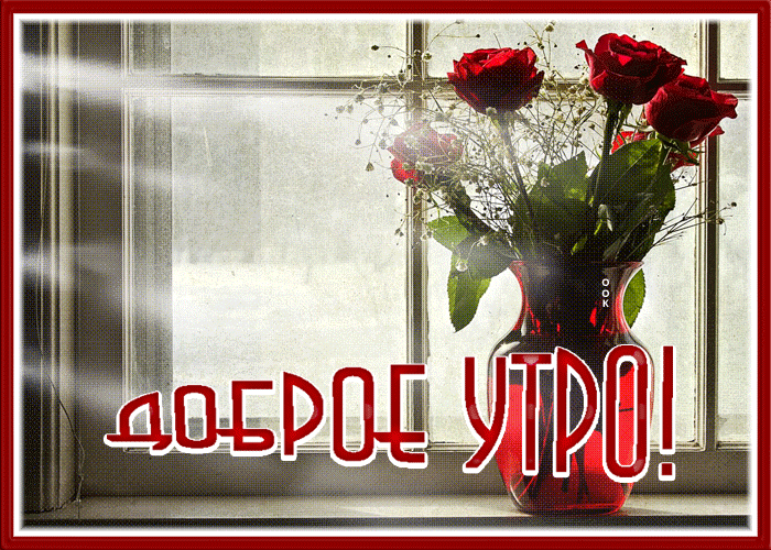 60. Гифка доброе утро всего наилучшего с букетом красных роз в вазе!