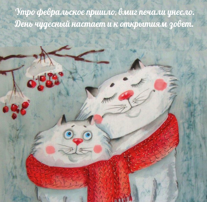 31. Доброго февральского утра и хорошего дня, прикольная новая картинка с кошками!