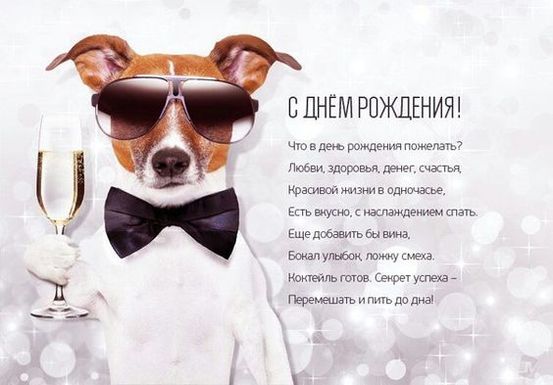 Стильная открытка с собакой и пожеланиями в прозе на день рождения с шутками!